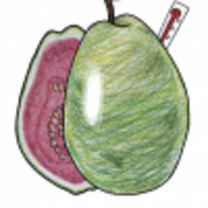 Guavafeber IPA - Glutenfree