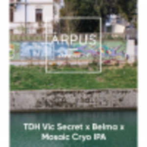 TDH Vic Secret X Belma X Mosaic Cryo IPA
