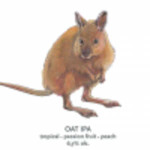 Extinction Is Forever!: Rufous Hare-Wallaby