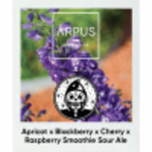 Ārpus X Messorem Apricot X Blackberry X Cherry X Raspberry Smoothie Sour Ale