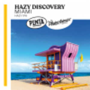 Hazy Discovery Miami