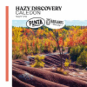 PINTA Hazy Discovery Caledon информация за бирата и активни кранове Hazy Discovery Caledon