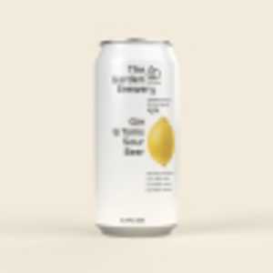 Gin & Tonic Sour Beer