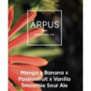 Mango X Banana X Passionfruit X Vanilla Smoothie Sour Ale
