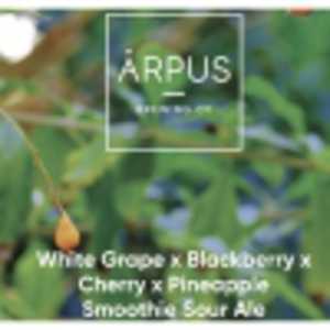 White Grape X Blackberry X Cherry X Pineapple Smoothie Sour Ale