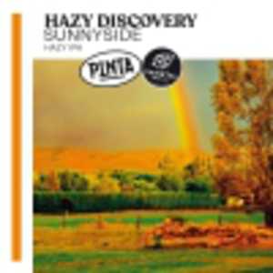 Hazy Discovery Sunnyside